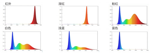 尊龙凯时·(中国)人生就是搏!